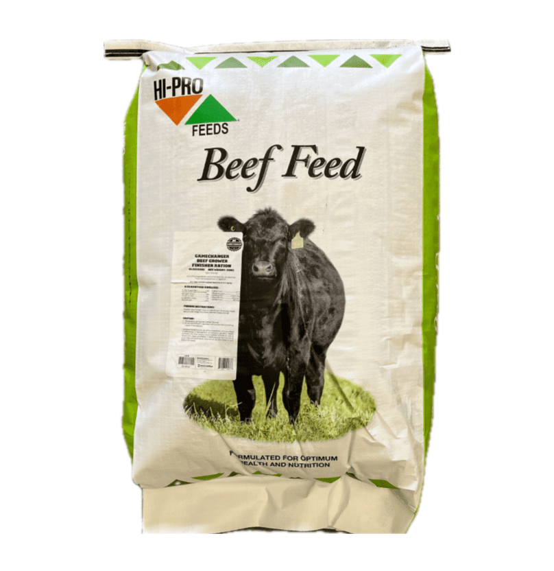 Cattle Feed