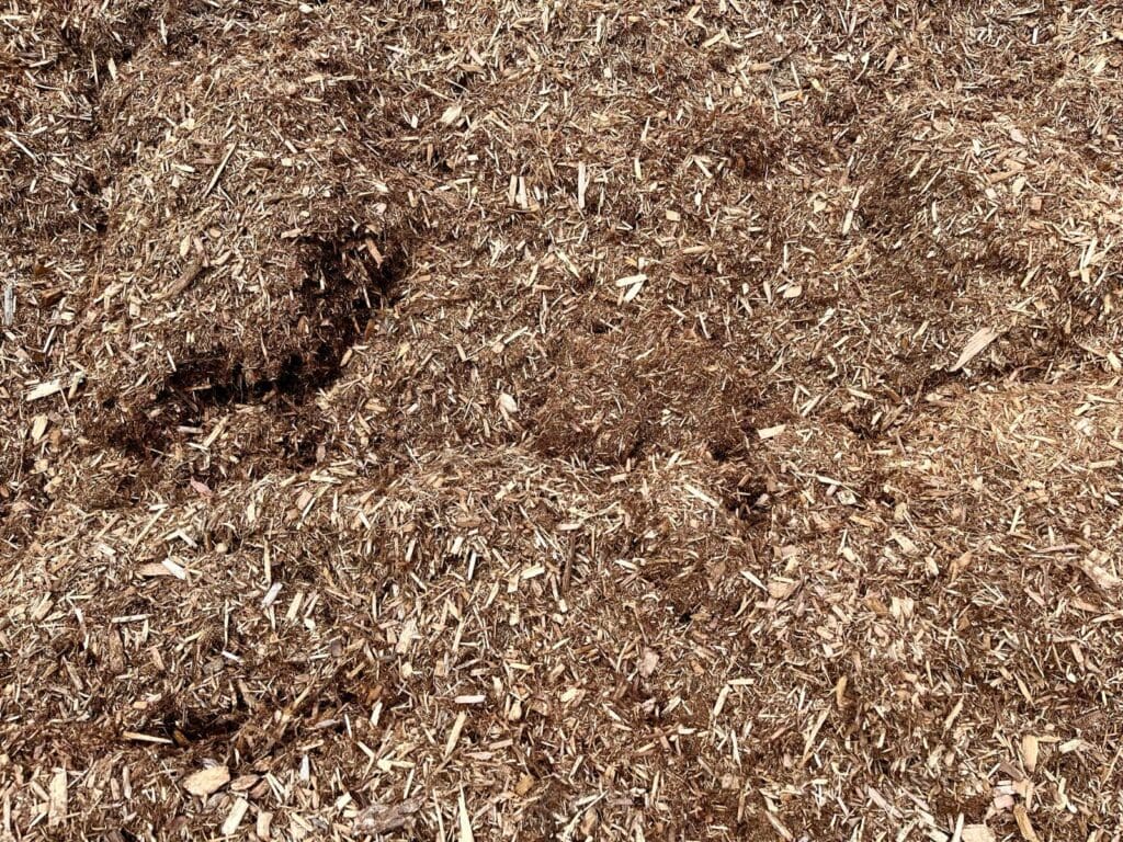 Cedar Mulch