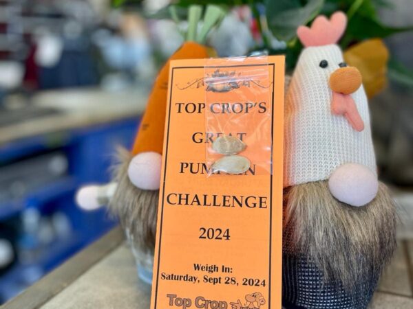 Top Crop’s Great Pumpkin Challenge 2024
