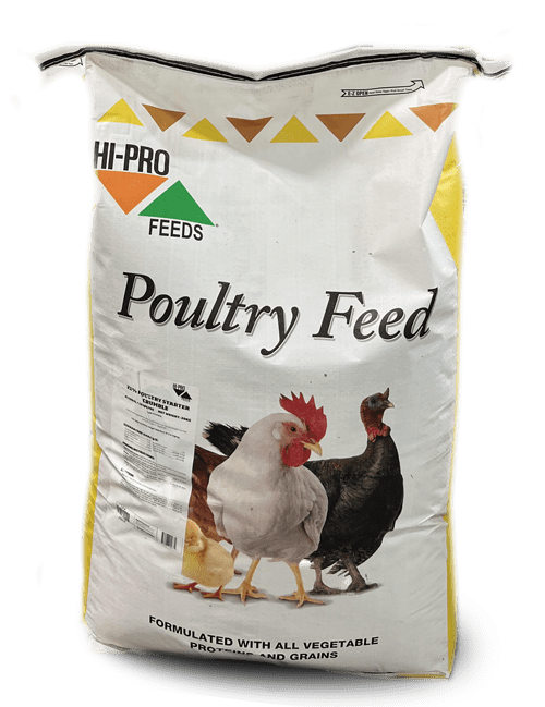 Chicken Feed