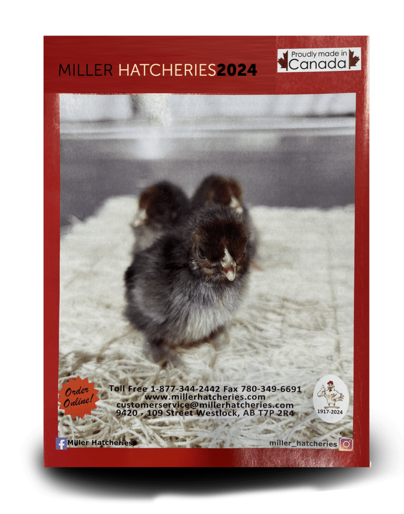 Miller Hatcheries