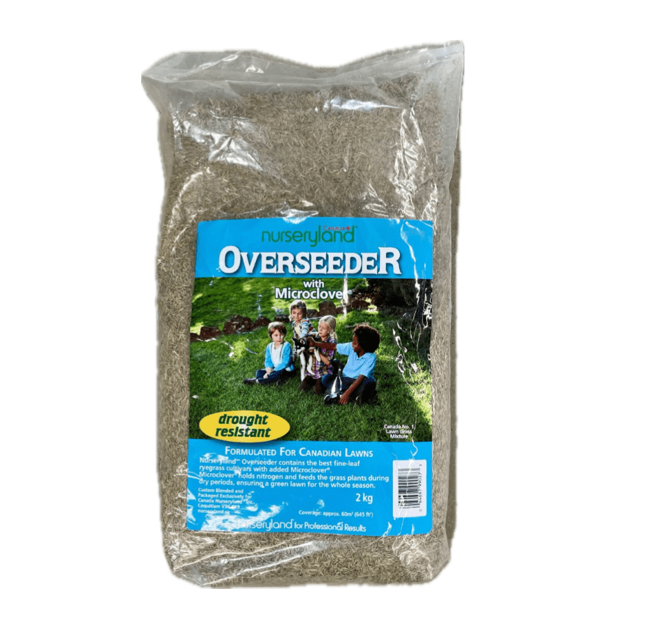 Nurseryland Overseeder Grass Seed