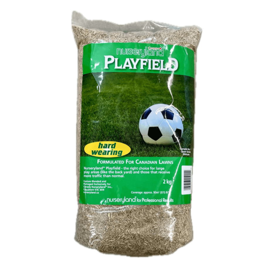 Nurseryland Playfield Grass Seed