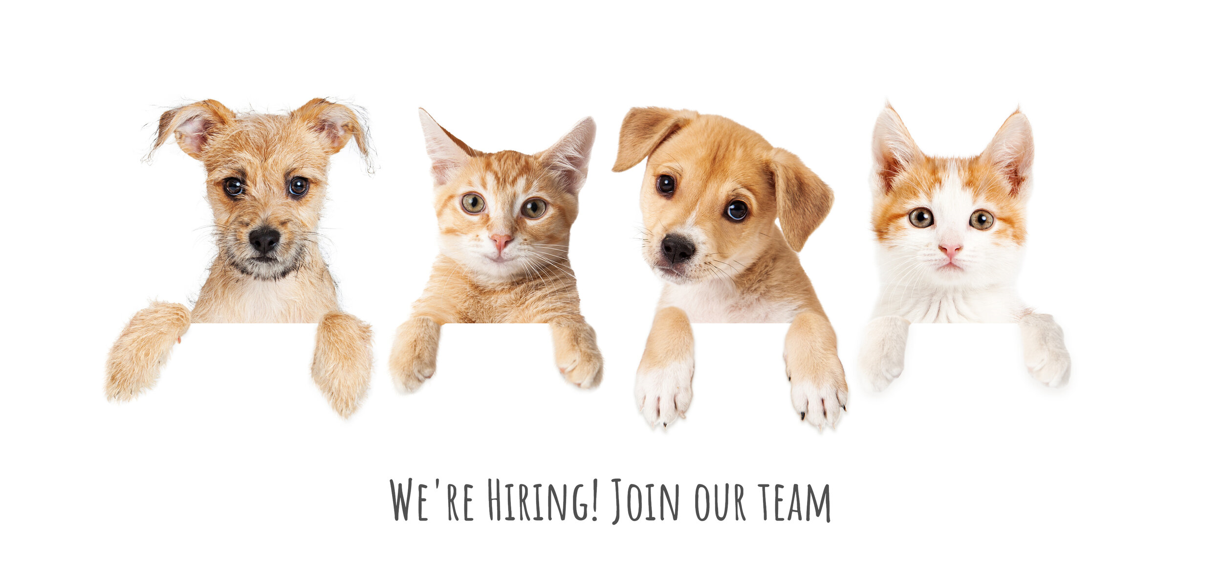 Join the Top Crop Team!