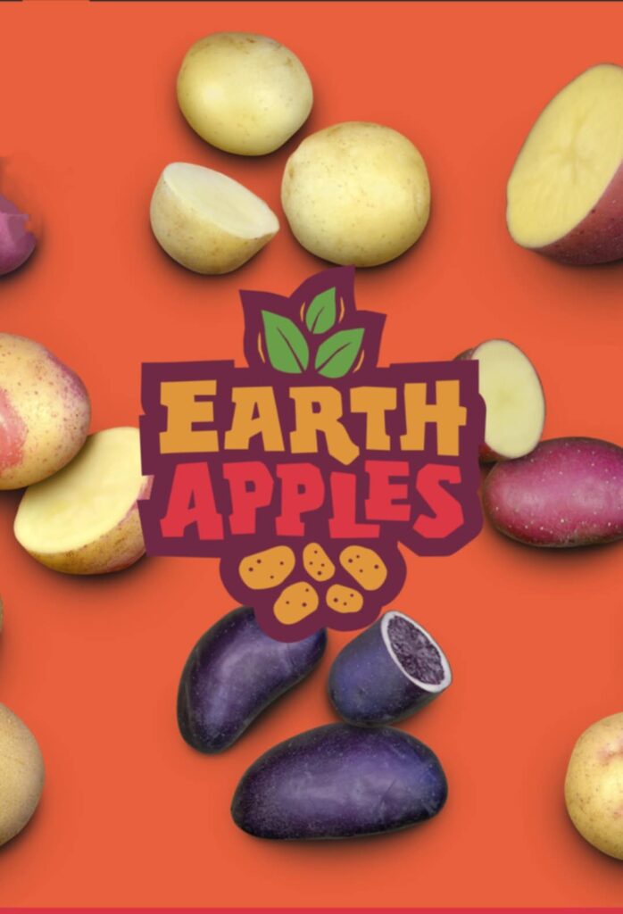 Seed Potatoes
